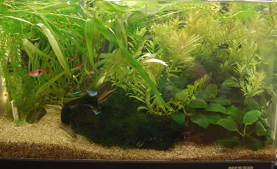 aqua018.jpg
