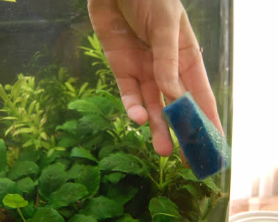aqua021.jpg