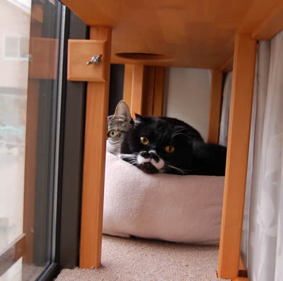 猫ベッド cats445