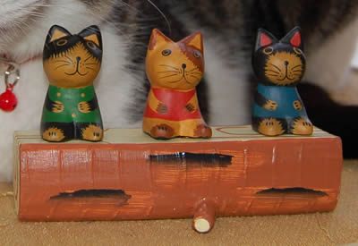 cats567