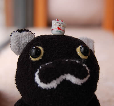 cats586