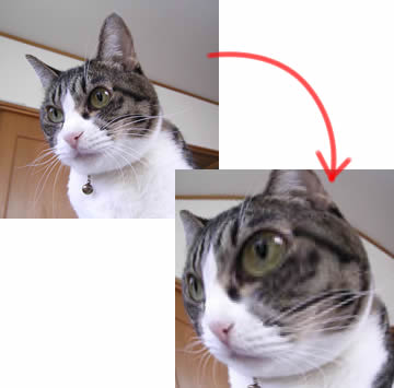 kemeko