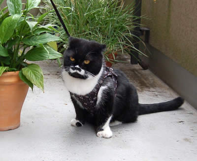 kuma1033.jpg