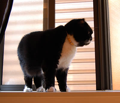 kuma1041.jpg