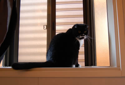 kuma1042.jpg