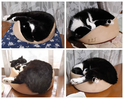 小さな猫ベッド kuma1252