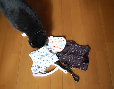 猫用ハーネス kuma989.jpg