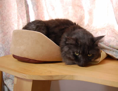 moko474