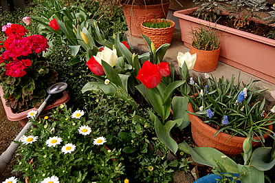 garden_2007_05