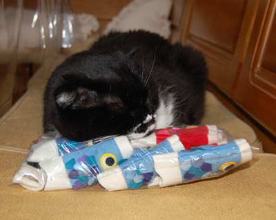 koinobori017