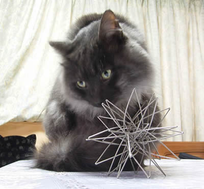 Moko and Pentagonal Gravity moko294big.jpg