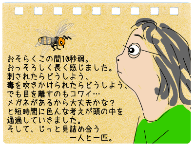 大ピンチ（オオスズメバチ） 5