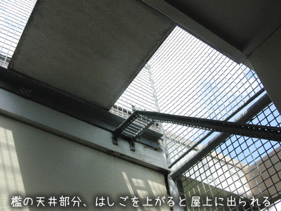 檻は3層に分かれていて、一番上ははしごを上ると屋上部分に出られるようになっている