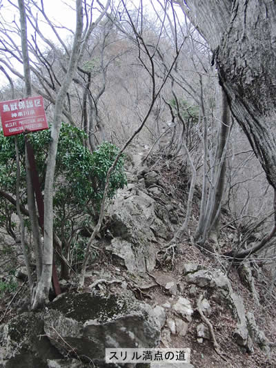 険しい仏果山への道、どこを歩けばいいのか…