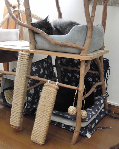 キャットタワーにクッションを突っ込んで出来た簡易猫ベッド
