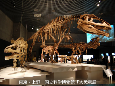 上野で開催中の大恐竜展に行ってきました