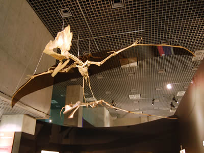 翼竜「タラソドロメウス」