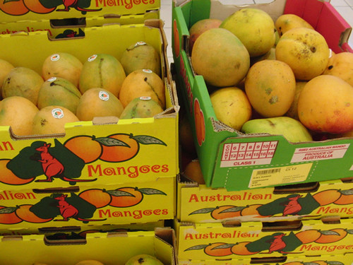 店頭に並ぶマンゴー
