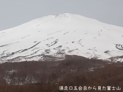 須走口五合目から見た富士山