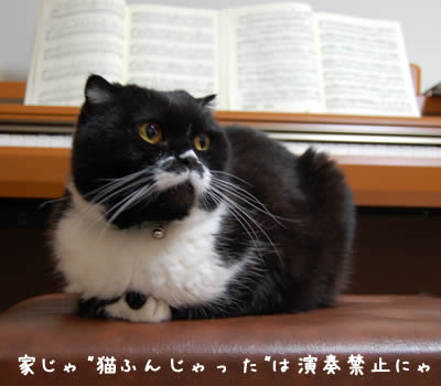 ピアノの椅子に座るボク