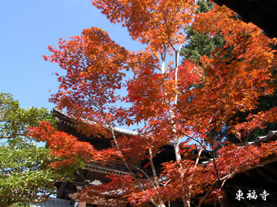 東福寺