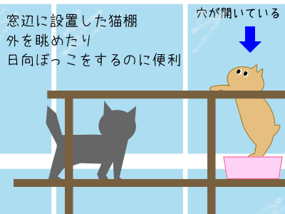 猫棚の図
