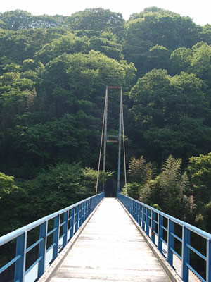 谷峨駅からあるいてすぐの青いつり橋
