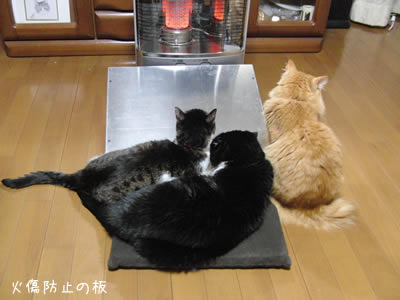 アルミ板の前に座る猫3匹、これで火傷の心配はない