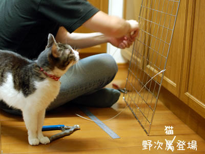 野次馬登場