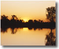 Kakadu