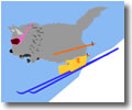 GIANT SLALOM SKIIN