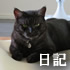 クマにゃん日記「爪とぎの中の猫ベッド」