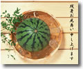 残暑見舞い