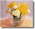 Ranunculus and Tulips